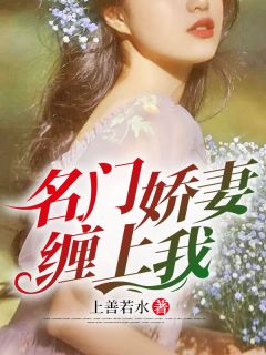 最新小说名门娇妻缠上我主角龙禹江允儿全文在线阅读