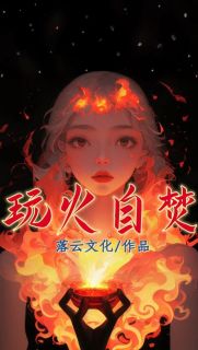 玩火自焚章节目录小说-小七林烬免费阅读全文