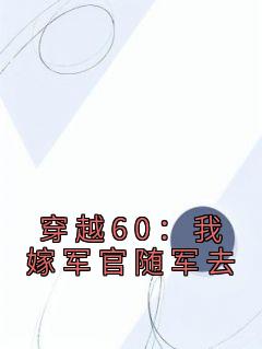 苏妍陆霆(原文完整)《穿越60：我嫁军官随军去》无弹窗免费阅读